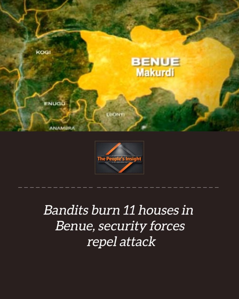 InShot_20260207_144626342