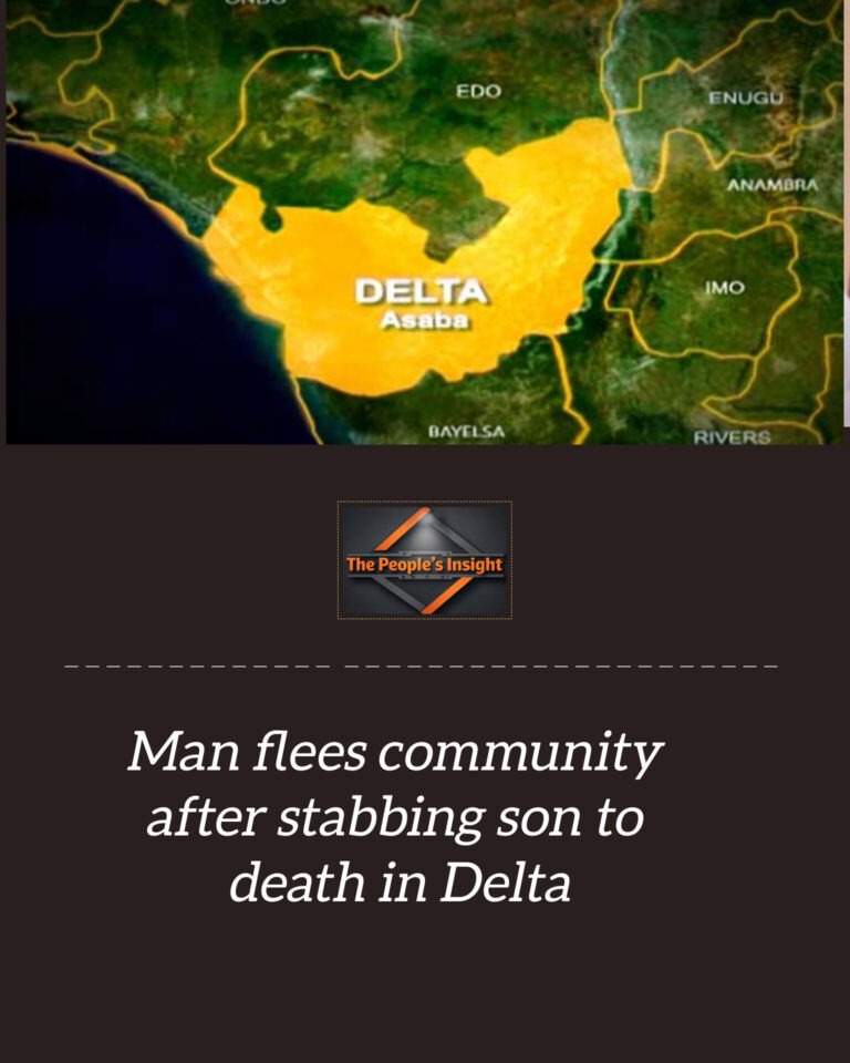 InShot_20260209_121924689