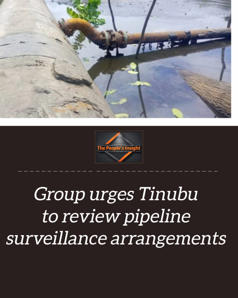 InShot_20260221_142754700