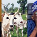 Screenshot_20260225-095619