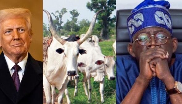 Screenshot_20260225-095619