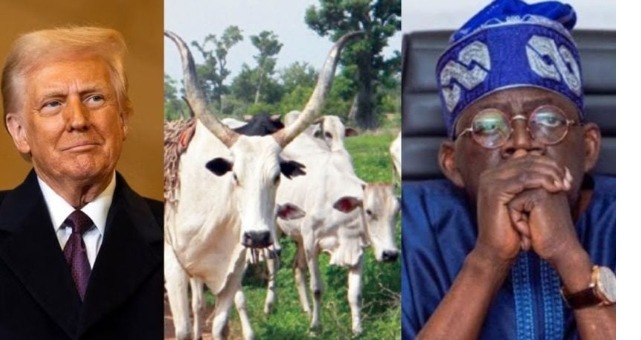 Screenshot_20260225-095619