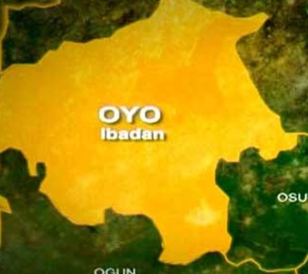 Screenshot_20260304-110417