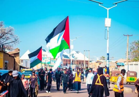 Screenshot_20260307-123339