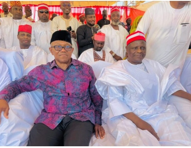 Screenshot_20260323-121328