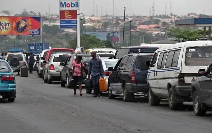 Screenshot_20260323-124156