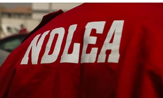 Screenshot_20260401-182720