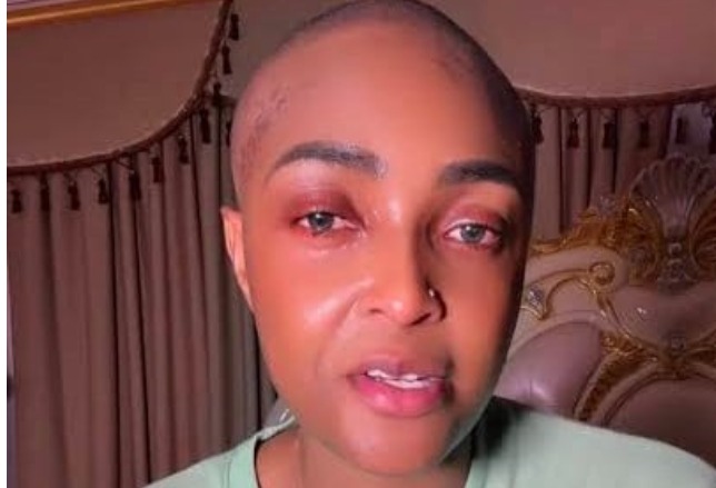 Screenshot_20260404-123429